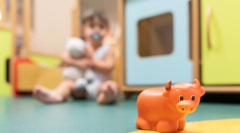 Nord : Un baby-sitter pédocriminel condamné en 2020 à Nice, nouvelles victimes.