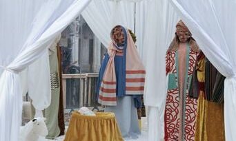 « On devient aussi con que vous » : la francisation politique en Belgique