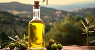 Oueslatia : Produit de terroir et écotourisme, atout touristique majeur