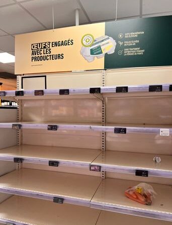 Paris : Pénurie d'œufs dans les magasins, explications.