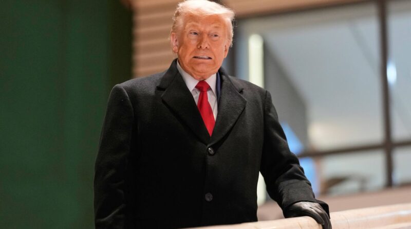 « Pathologiquement infantile » : Donald Trump a-t-il régressé ?