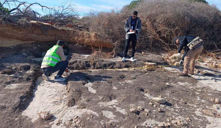 Patrimoine archéologique : Découvertes maritimes inédites à explorer