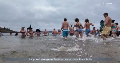 Plongée glacée dans les lacs de l'Eau d'Heure pour le jour de l'an.
