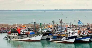 Port de Laâyoune : La saison d'hiver de la pêche au poulpe se déroule bien