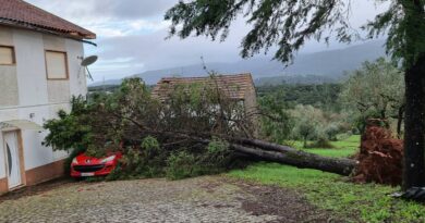 Portugal : Quatre morts au bilan final de la tempête Kristin