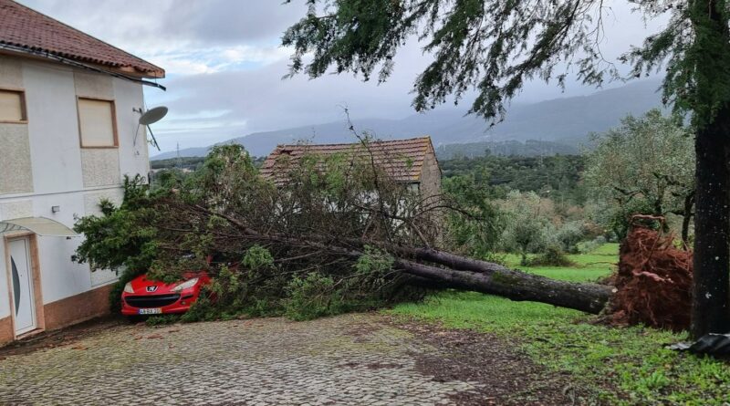 Portugal : Quatre morts au bilan final de la tempête Kristin