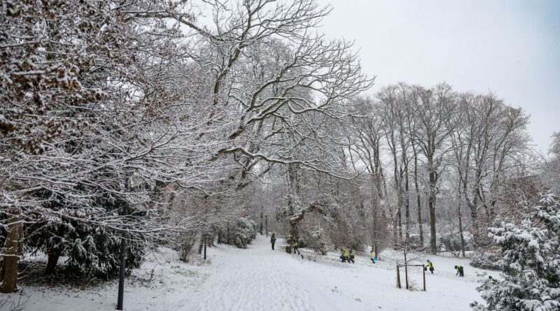Pourquoi vous ne "claquez pas des dents" par grand froid
