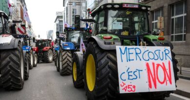 Que peut encore faire la France pour empêcher le Mercosur ?
