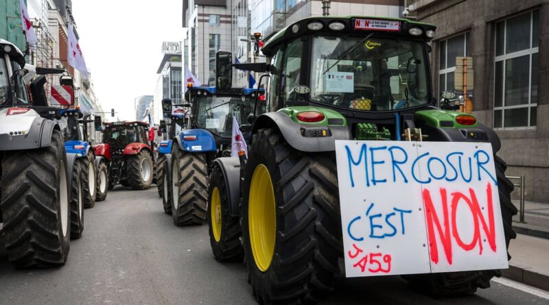 Que peut encore faire la France pour empêcher le Mercosur ?