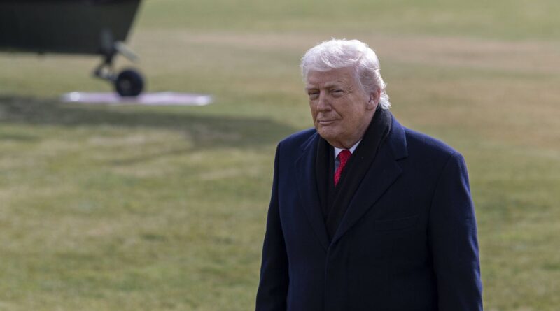 Que sait-on du « Conseil de paix » de Donald Trump, ONU version Maga ?