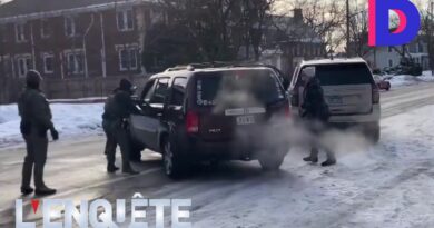 Renee Good tuée au Minnesota par un agent de l’ICE : analyse image par image