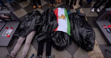 Répression en Iran : « Les menaces de mort persistent malgré l'absence des gens »