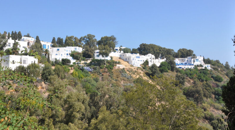 Sidi Bou Saïd est-il menacé par des glissements de terrain ?