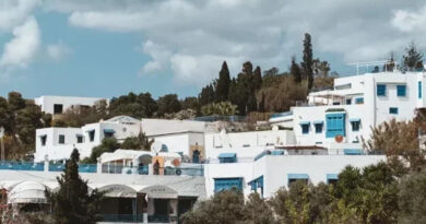 Sidi Bou Saïd : les habitants ne cachent plus leur angoisse quotidienne