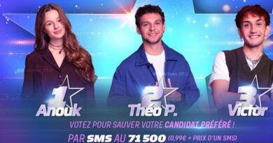 « Star Academy » : La « ménagère » ne séduit pas le public jeune