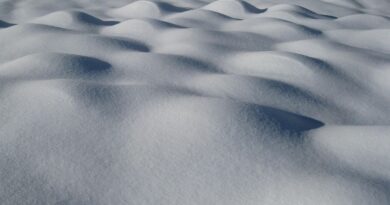 Suisse : Un skieur sauvé après être resté sous la neige