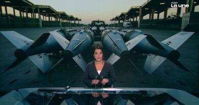 Syrie : bombardement du site souterrain de l'Etat islamique par le Royaume-Uni et la France