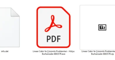 Télécharger un ebook peut être fatal : livres turcs et arabes piégés