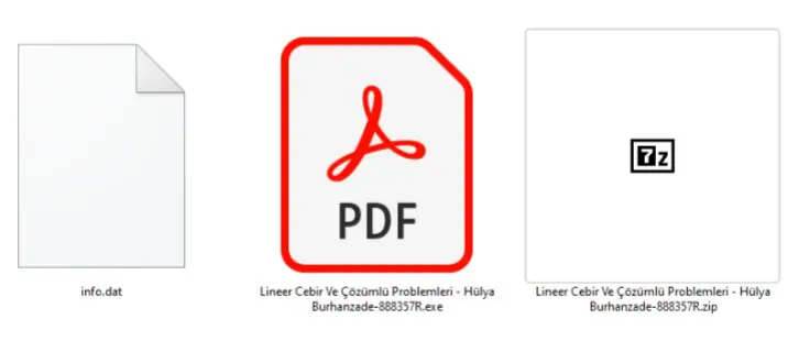 Télécharger un ebook peut être fatal : livres turcs et arabes piégés
