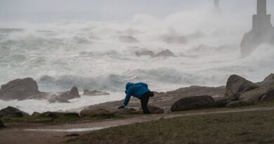 Tempête Goretti : 380.000 foyers privés d'électricité, 21 départements en alerte orange.