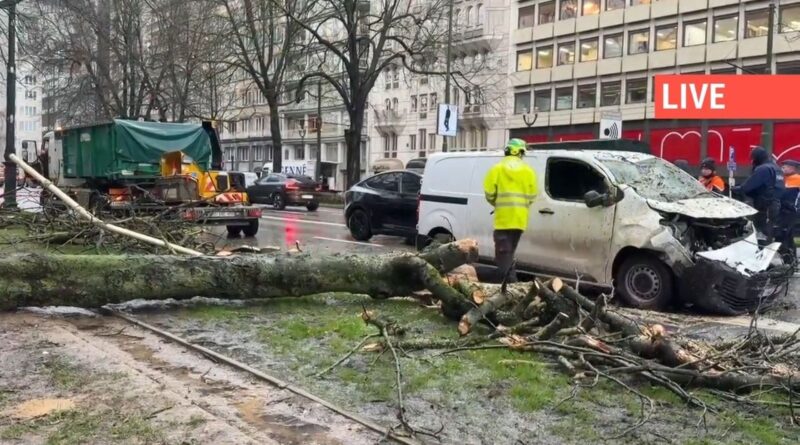 Tempête Goretti : interdiction pour camions >13 m en Liège et Luxembourg dès 14 heures