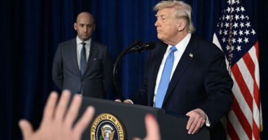 Tensions avec la police de l'immigration aux USA : un conseiller de Trump évoque des manquements au "protocole"