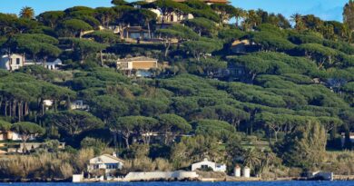 « The White Lotus » : La ville française pour le tournage de la saison 4 révélée