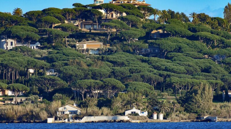 « The White Lotus » : La ville française pour le tournage de la saison 4 révélée