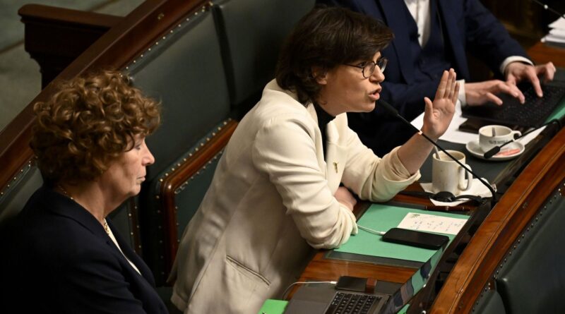 Tinne Van der Straeten (Groen) ne reste pas au parlement, va à WindEurope.