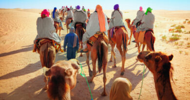 Tourisme : les recettes atteignent plus de 8 milliards de dinars en 2025