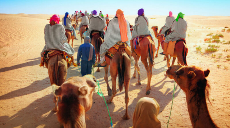 Tourisme : les recettes atteignent plus de 8 milliards de dinars en 2025