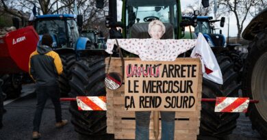 Traité Union Européenne-Mercosur : les agriculteurs ne doivent pas s'inquiéter.