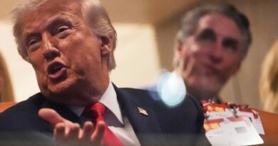 Trump menace de taxer à 200 % les vins français si la France refuse son « Conseil de paix »