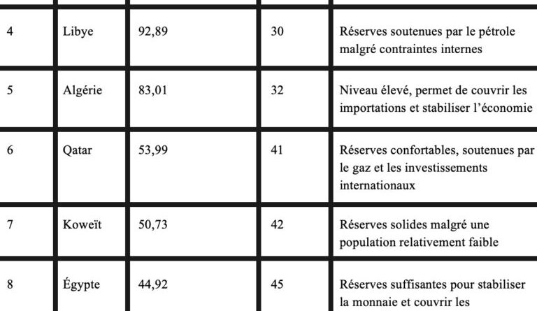 Tunisie et pays arabes : réserves de change en 2025, où en sont-elles ?