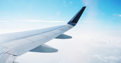 Un passager d’un avion meurt d’un malaise avant l’atterrissage.