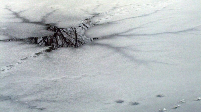 Une Américaine assiste impuissante à la noyade de ses trois fils dans un lac gelé.