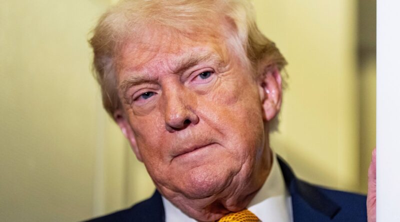 Une femme turque de 55 ans demande un test ADN pour prouver que Donald Trump est son père.