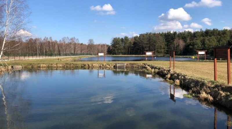 Une start-up liégeoise développe un vaccin ARN contre le pou du saumon.