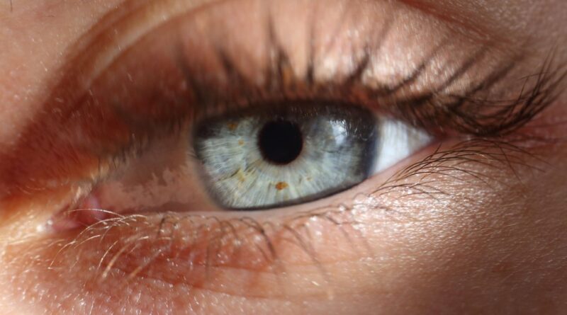 Usurpation d’identité et surveillance : photographier l’iris, un danger.