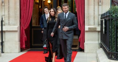 Victoria Beckham, Chevalier de l'Ordre des Arts et des Lettres : pourquoi ?