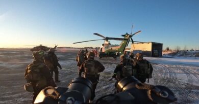 Vu d'Europe : la sécurité des câbles sous-marins en mer Baltique ?