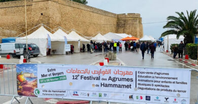 12e édition du festival des agrumes de Hammamet : célébration de l'orangeraie et produits dérivés.