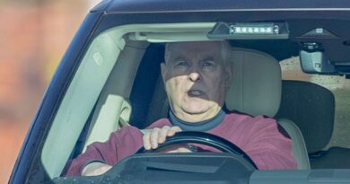 Accusations et garde à vue : arrestation d'Andrew dans l'affaire Epstein