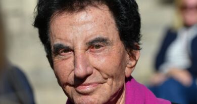 Affaire Epstein : Consensus politique suite à la démission de Jack Lang