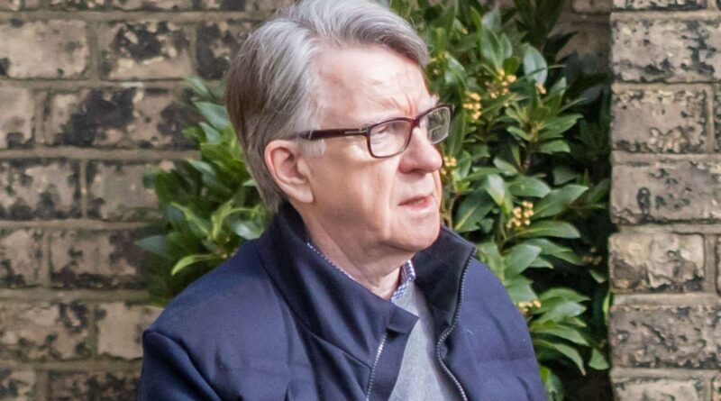 Affaire Epstein : Peter Mandelson, ex-ministre britannique, arrêté à son tour