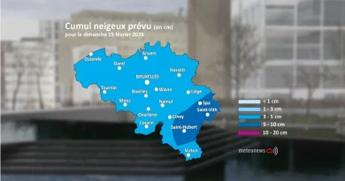Alerte jaune en Belgique pour neige express et conditions glissantes