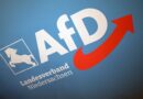 Allemagne : La justice ne considère pas l’AfD comme parti « extrémiste » de droite