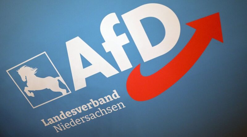 Allemagne : La justice ne considère pas l’AfD comme parti « extrémiste » de droite