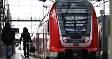 Allemagne : Un contrôleur de train meurt frappé par un passager sans billet.