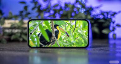 Amazon abaisse le prix du Google Pixel 9a, laissant de côté le Pixel 10a.